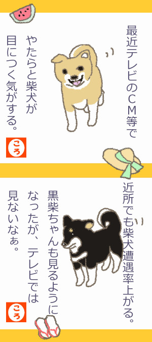 柴犬遭遇率アップ 柴犬遭遇率アップ