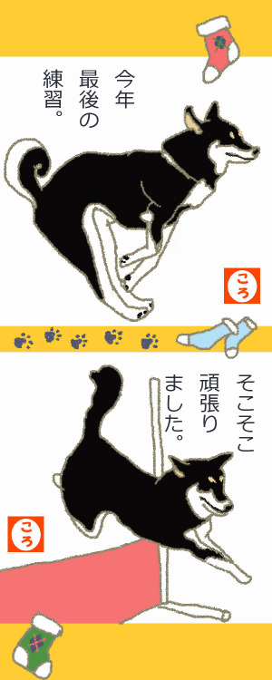 今年最後のレッスン 今年最後のレッスン