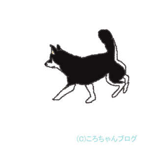 ドッグラン ドッグラン