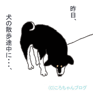 昨日・・・ 昨日・・・