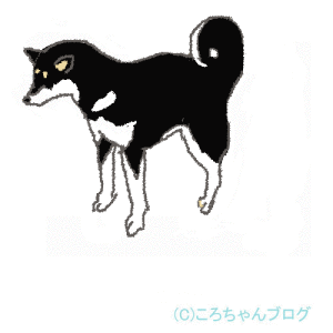 犬のマスク 犬のマスク