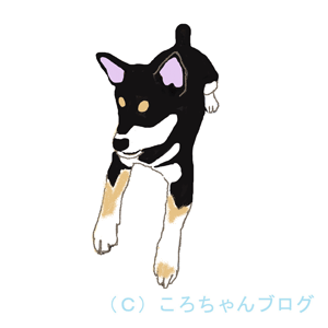 子犬月齢二か月
